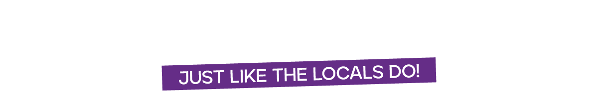 Discover the real The Hague